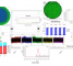 MFG Statistics for Test Training （第一期）